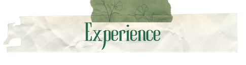 Experience